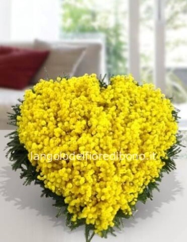 Cuore solo mimosa dalle dimensioni di 20 x 20