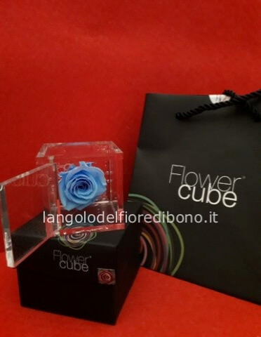 FLOWER CUBE 8x8, Colore celeste