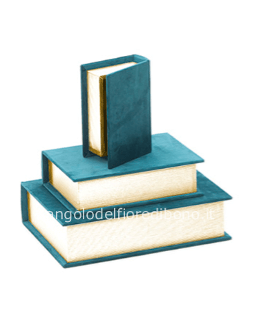 LIBRO CONTENITORE CM16X11X5