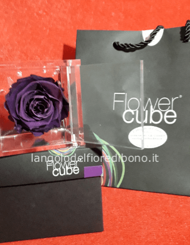 FLOWER CUBE 6X6