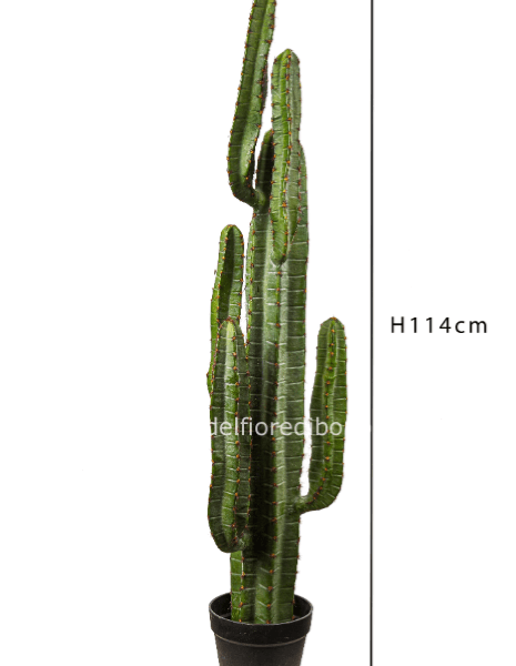 CACTUS CON VASO