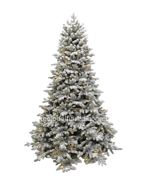 ABETE MONTE BIANCO H270