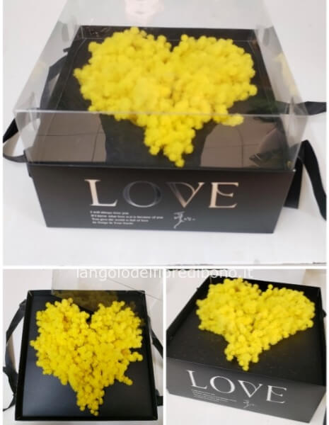 Scatola LOVE 25x25 con Mimosa